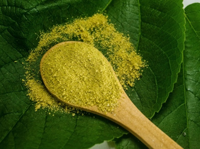 nabraný kratom